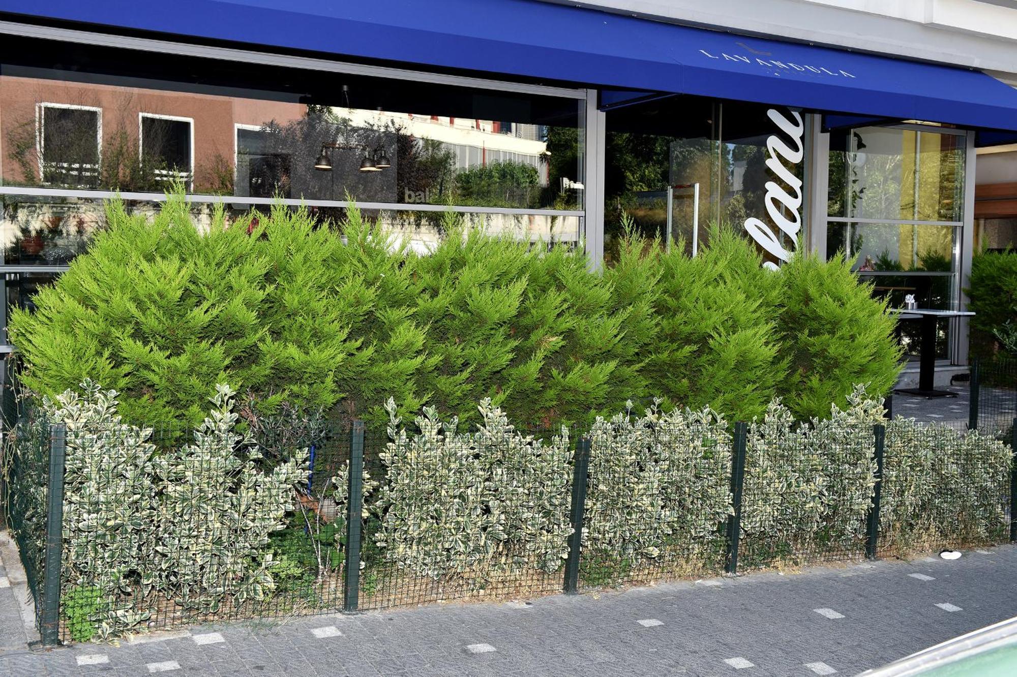 Levent Lavandula Hotel Istanbulská provincie Exteriér fotografie